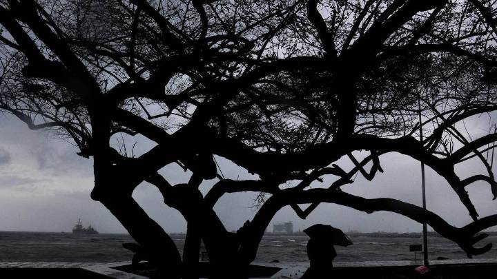 India records 8% surplus rainfall in Monsoon 2025; east & northeast face major deficit