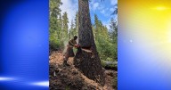 Containment efforts ramp up on Emigrant Fire