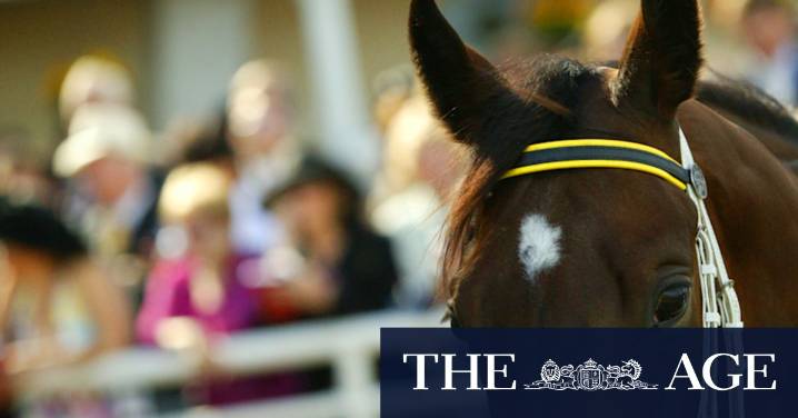 Race-by-race preview and tips for Tuesday’s meeting at Taree