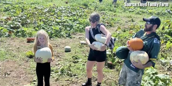 Exploring the best pumpkin patches in Central Virginia