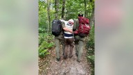 Hikers on psychedelic mushrooms rescued after getting lost in NY mountains