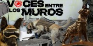 Perritos rescatistas llevan esperanza a víctimas de terremotos y desastres
