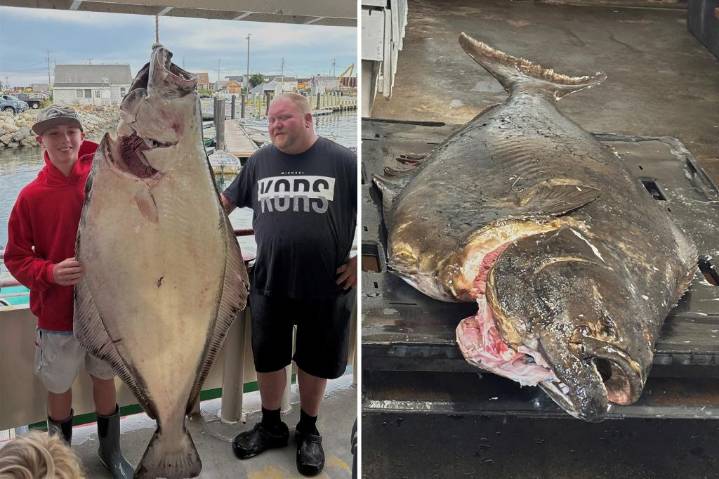 New Hampshire teen Jackson Denio reels in 177-pound fish — could set world record