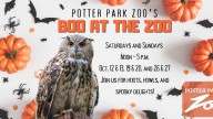 Potter Park Zoo chomps on Big Penny lesson. How the zoo is getting into the spirit