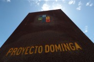 Gobierno afirma que fallo de la Corte Suprema por Dominga no es definitivo