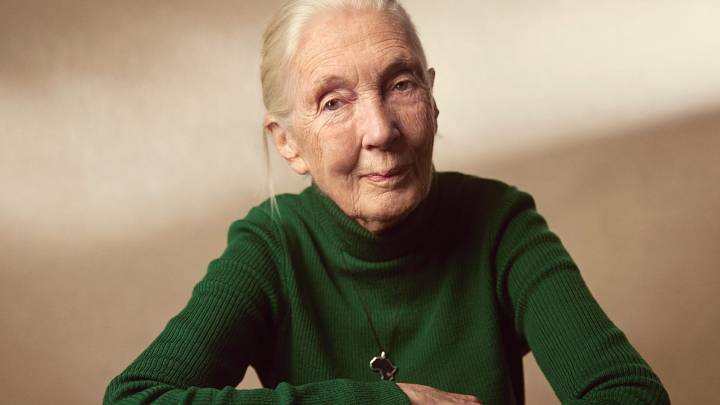 At 91, iconic chimp researcher Jane Goodall in Detroit still hoping to inspire