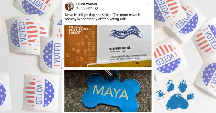 Acusan a mujer en EEUU por registrar a su perra para votar