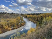 Nature and history abound in Sandy Beach, Elbow Park, and Britannia