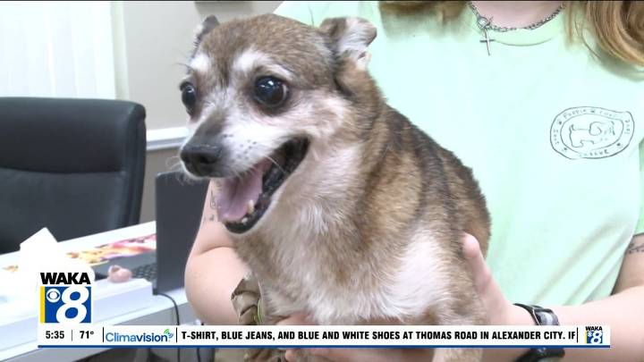 Pets of the Week: September 22
