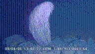 Meet The Chewbacca Coral, 4 Feet Of Fluff And A New-To-Science Species Discovered In The Deep Sea