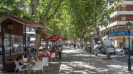 Piden fritura en un bar de Murcia y cuando reclaman el dueño les da una respuesta surrealista: no vuelven a decir nada