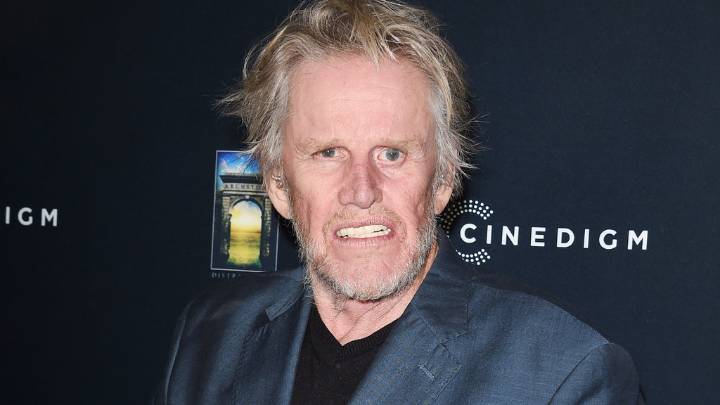 Gary Busey sentenced to two years probation for groping woman