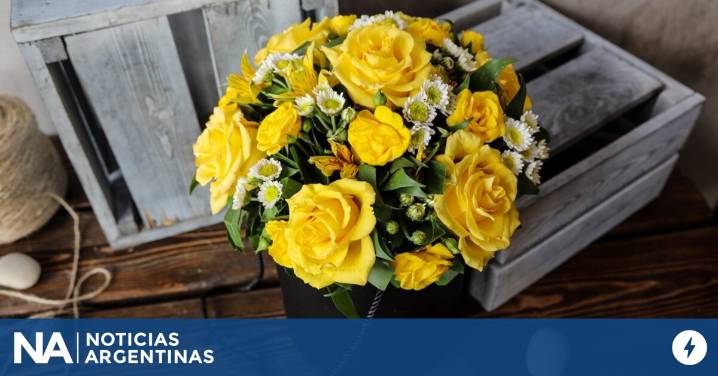 Día de la Primavera: cuánto cuesta regalar un ramo de flores amarillas, la nueva tradición de los jóvenes