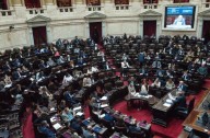 Garrahan y Universidades: la oposición convocó a una sesión en Diputados para rechazar los vetos de Milei