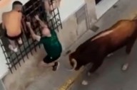 Tragedia en España. Un hombre de 57 años murió tras ser embestido por un toro durante una celebración popular