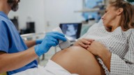 El 'nasciturus' será en Madrid miembro de la familia desde el momento del embarazo para pedir ayudas y deducciones en la renta