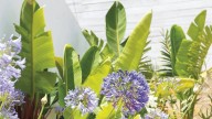Septiembre en el jardín: las tareas claves para cuidar tus plantas y recibir la primavera