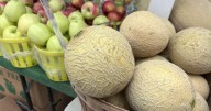 Farm to table: Fall Farmer’s Markets offer locally grown, sourced products
