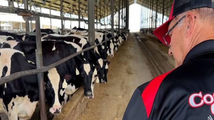 Feeding Florida is rescuing thousands of gallons of milk