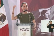 Les duele que México sea el más democrático del mundo.