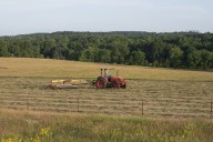 'Turbulent': Red state farmers 'out of time' as Trump mulls federal bailout