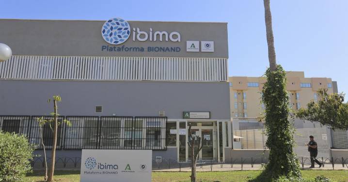 Científicos malagueños descubren que las proteínas del alzhéimer se propagan de forma distinta en humanos y ratones