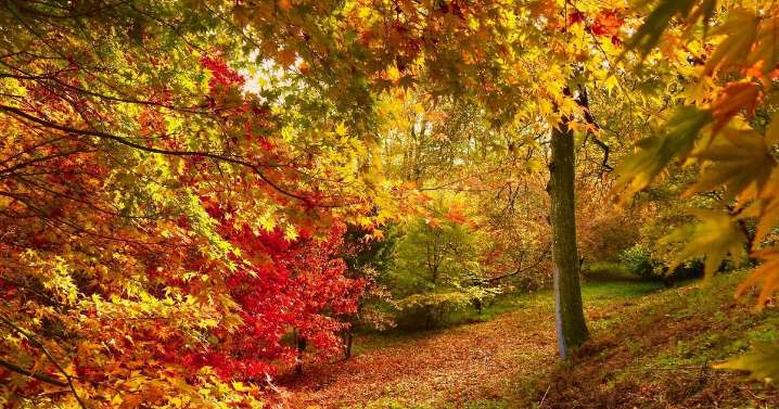 UK's 'best autumn walking destination' is just a stone's throw from Bristol