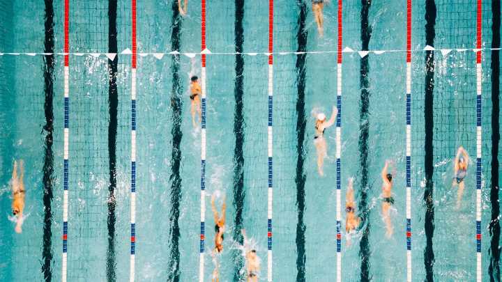Neuroscience: Go swimming and your brain will thank you