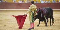 Corte Constitucional ratifica la prohibición de corridas de toros y espectáculos con animales en Colombia
