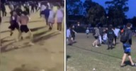 Sydney news: Families caught up in OzTag brawl at Parry Park in Lakemba