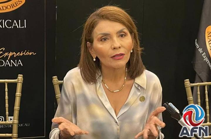 Cuestiona diputada del PAN el paquete económico 2026