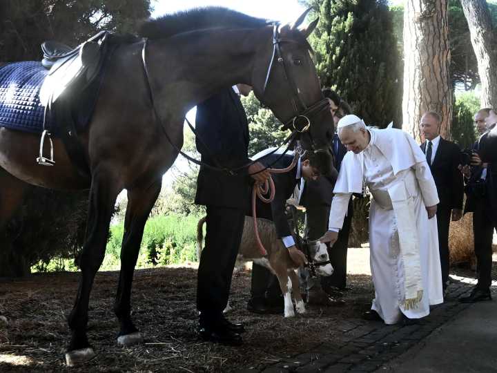 "El mar Mediterráneo debe ser un lugar de encuentro, no una tumba": fuerte mensaje del Papa León XIV sobre la migración en Europa
