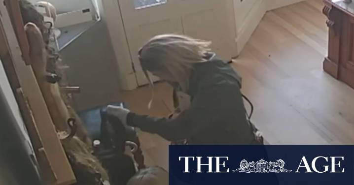 Woman accused of stealing wigs bound for child cancer patients