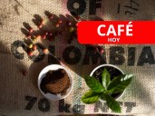 ¡Empezó la semana a la baja! Precio de la carga de café en Colombia HOY 29 de septiembre, según FNC