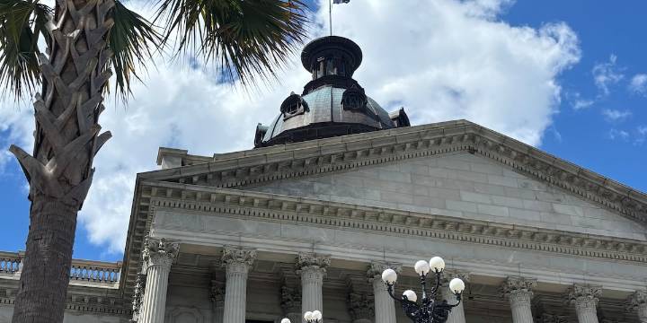 SC lawmaker wants to ensure paid parental leave covers stillbirths