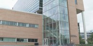 UW–Madison researchers test psilocybin, the compound in “magic mushrooms,” as new tool in mental health care