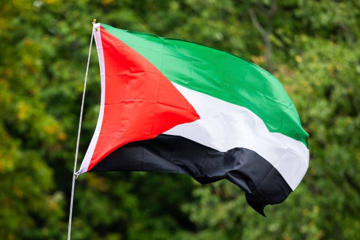 Reino Unido, Australia y Canadá reconocen al Estado palestino antes de conferencia clave en la ONU