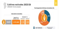 En Córdoba, el maíz recupera terreno
