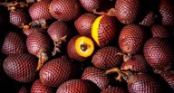Comer para vivir:  Lo que debes saber del aguaje