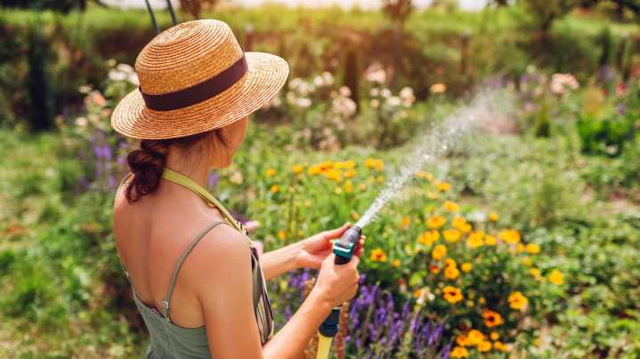 The Pretty Purple 'Weed' That Will Attract Birds & Pollinators To Your Yard
