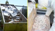 Cabezas de chancho, patas de pollo y más: Hallan más de 15 toneladas de carne descompuesta en frigorífico clandestino