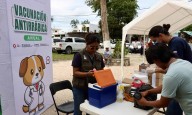 Arranca Puerto Morelos intensa campaña de vacunación antirrábica