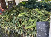 Lend an ear: Corn stars in these recipes