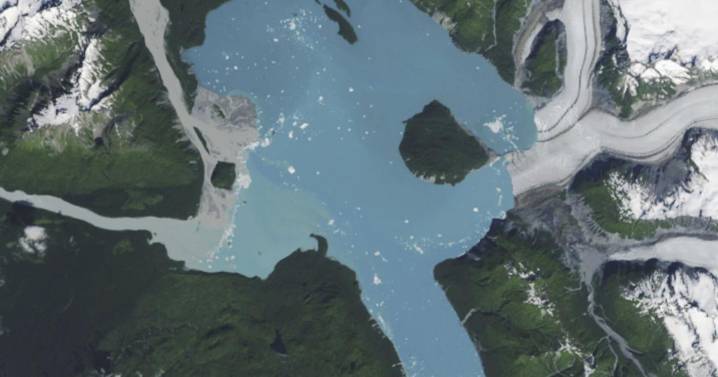 Retroceso del glaciar Alsek revela una nueva isla en el sureste de Alaska