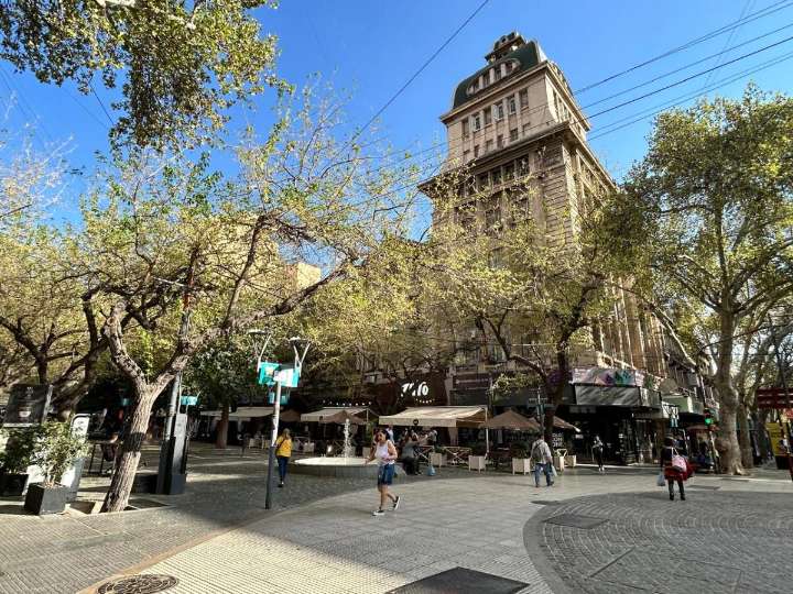 Alerta por vientos de hasta 80 km por hora: qué zonas afectará
