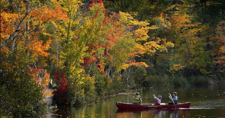 Day and night get equal billing Monday as fall equinox arrives. Here's what to know