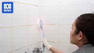 Is the pink soap scum in my bathroom mould, or something else?