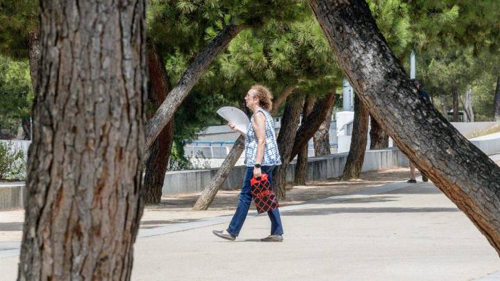 Vuelve el calor de agosto a Murcia este miércoles 3 de septiembre: 35 grados de máxima