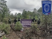 Asegura Célula BOI artefactos explosivos en Guadalupe y Calvo