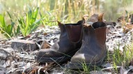 Winnipeg Woman Denied Entry to Folk Festival for Failing to Wear Blundstones